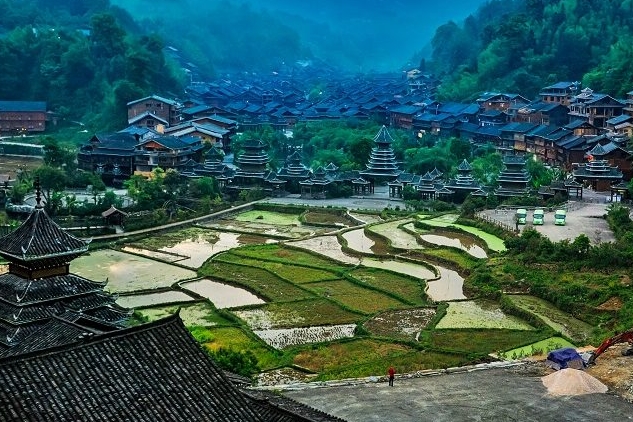 摄影家张祖平在国际大赛中荣获金、银奖